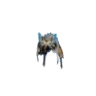 Aelucanth Vertex