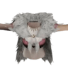Cotte Anjanath