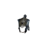 Baggi Helm