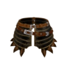 Spira cromata