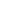 Orecchini solenni