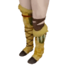 Droth-Beinschienen