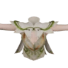درع ضلع إيدل X‎