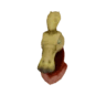 قناع جارجوا S