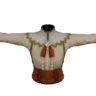 GildenbardenBolero