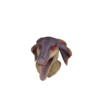 Máscara de Jaggi