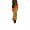 Parabraccia Jyuratodus X