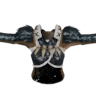 Nargacuga Mail
