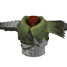 Cotte Pukei S
