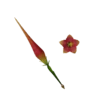 Fragancia garbosa